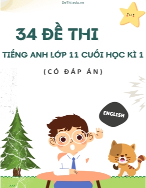 Bộ 34 Đề thi Tiếng Anh Lớp 11 cuối học kì 1 (Có đáp án)